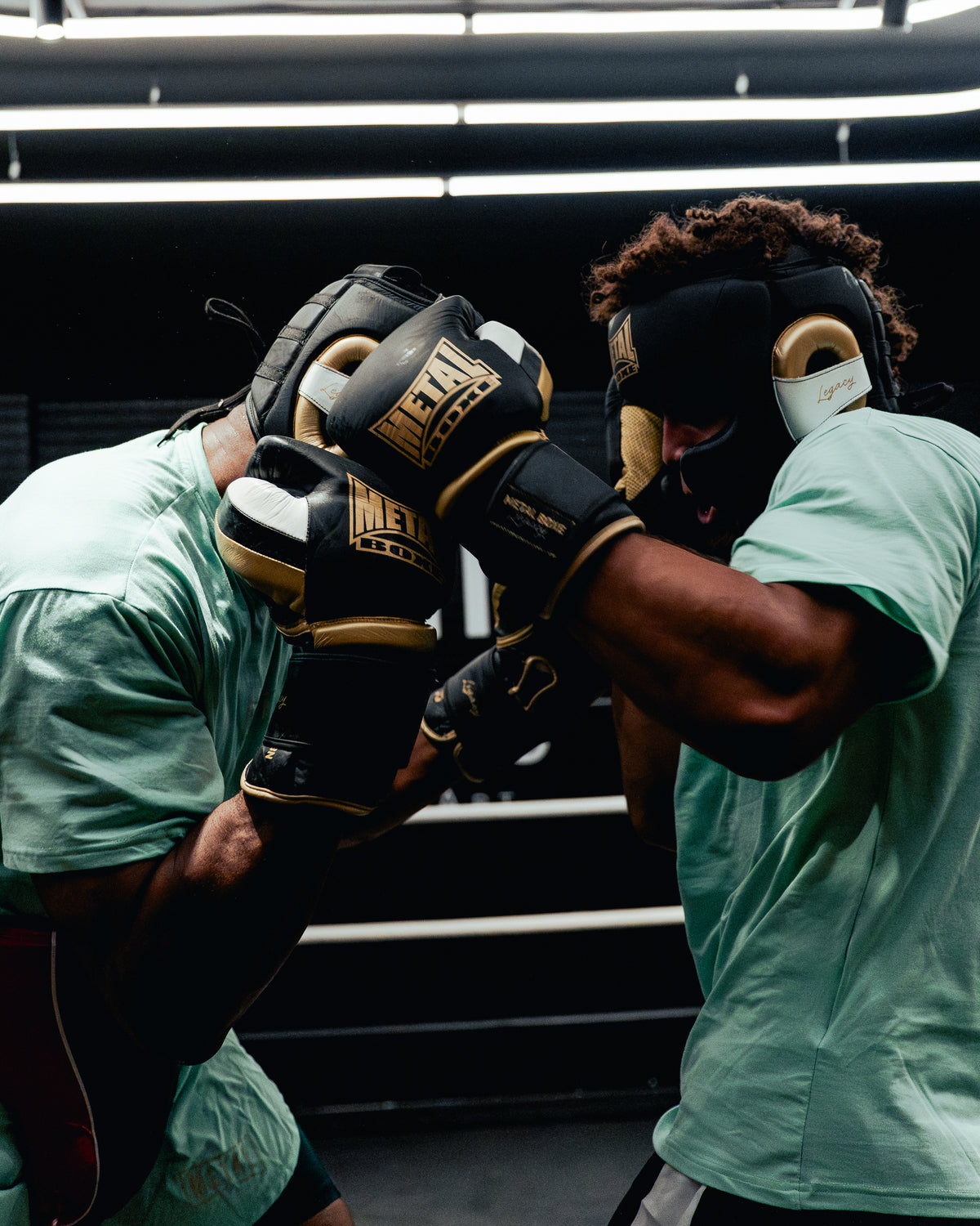 LEGACY VELCRO SPARRING GLOVES
