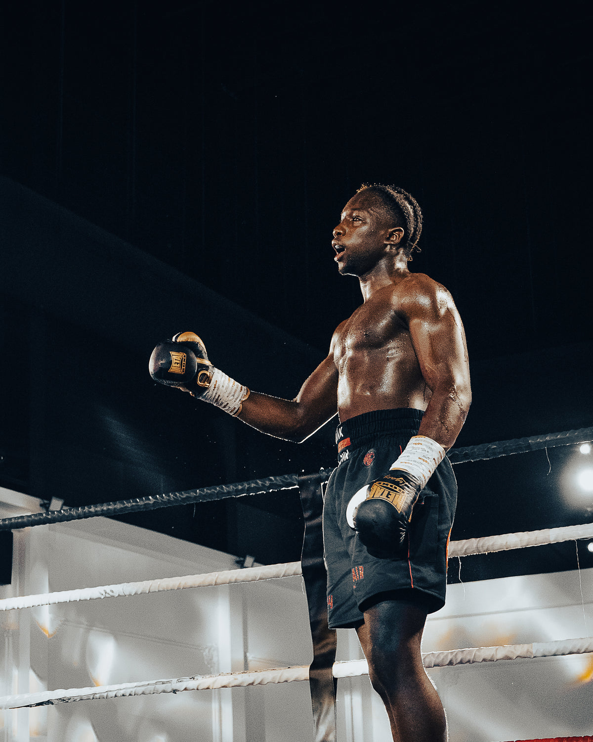 GANTS DE BOXE LEGACY HORSE HAIR NOIR